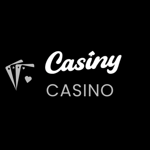 Your Guide to Casiny Login